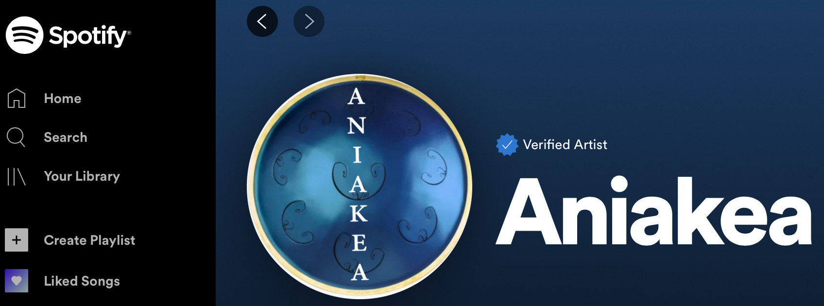 Verified artist on Spotify