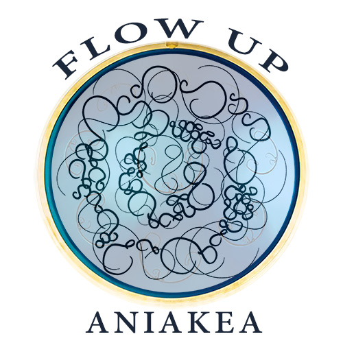 Aniakea FlowUp cover