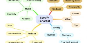Spotify for artist mindmap by Aniakea