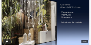 Vimeao galerie Elena Koss