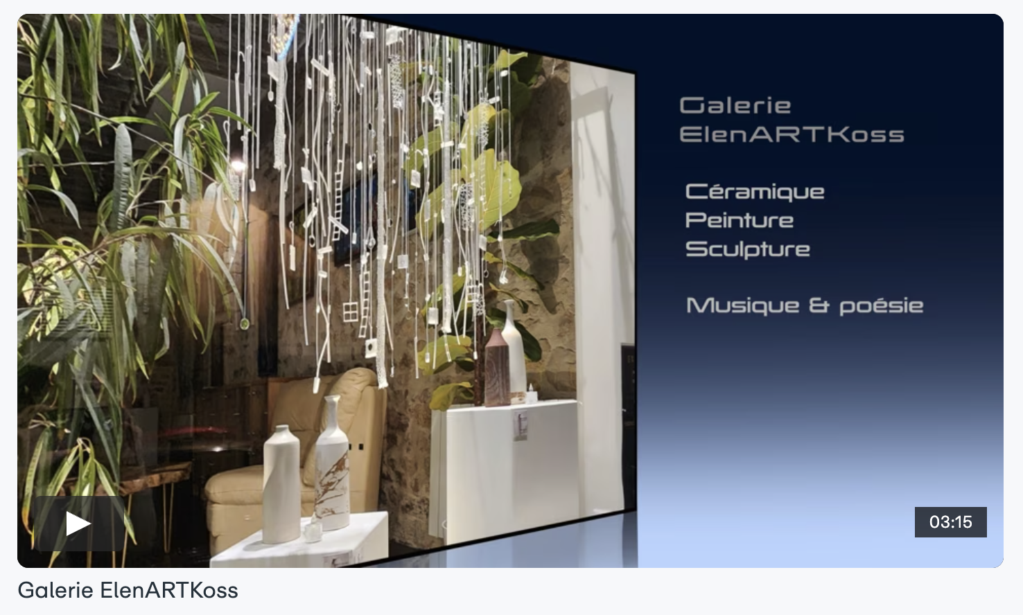 Vimeao galerie Elena Koss